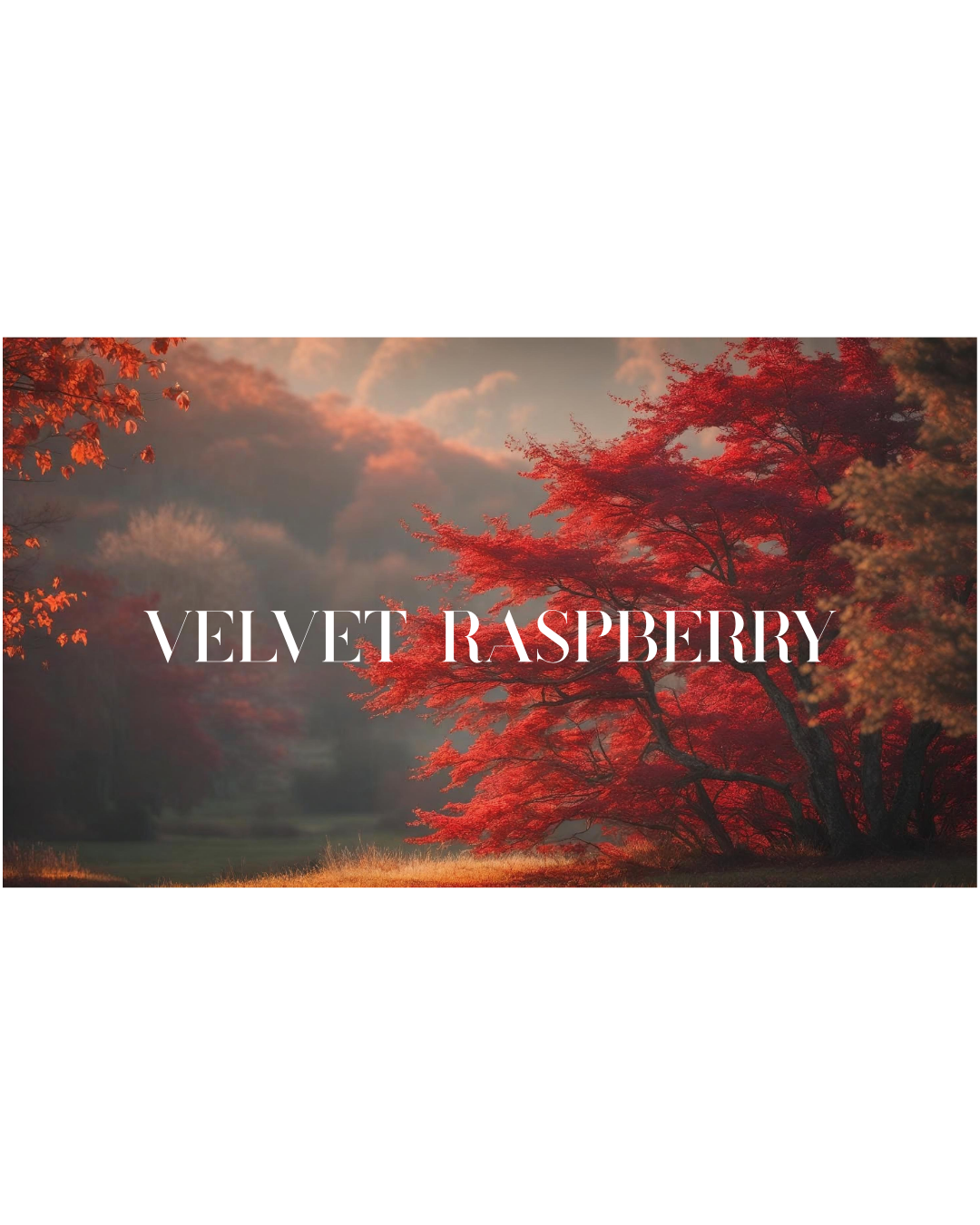 Velvet Raspberry