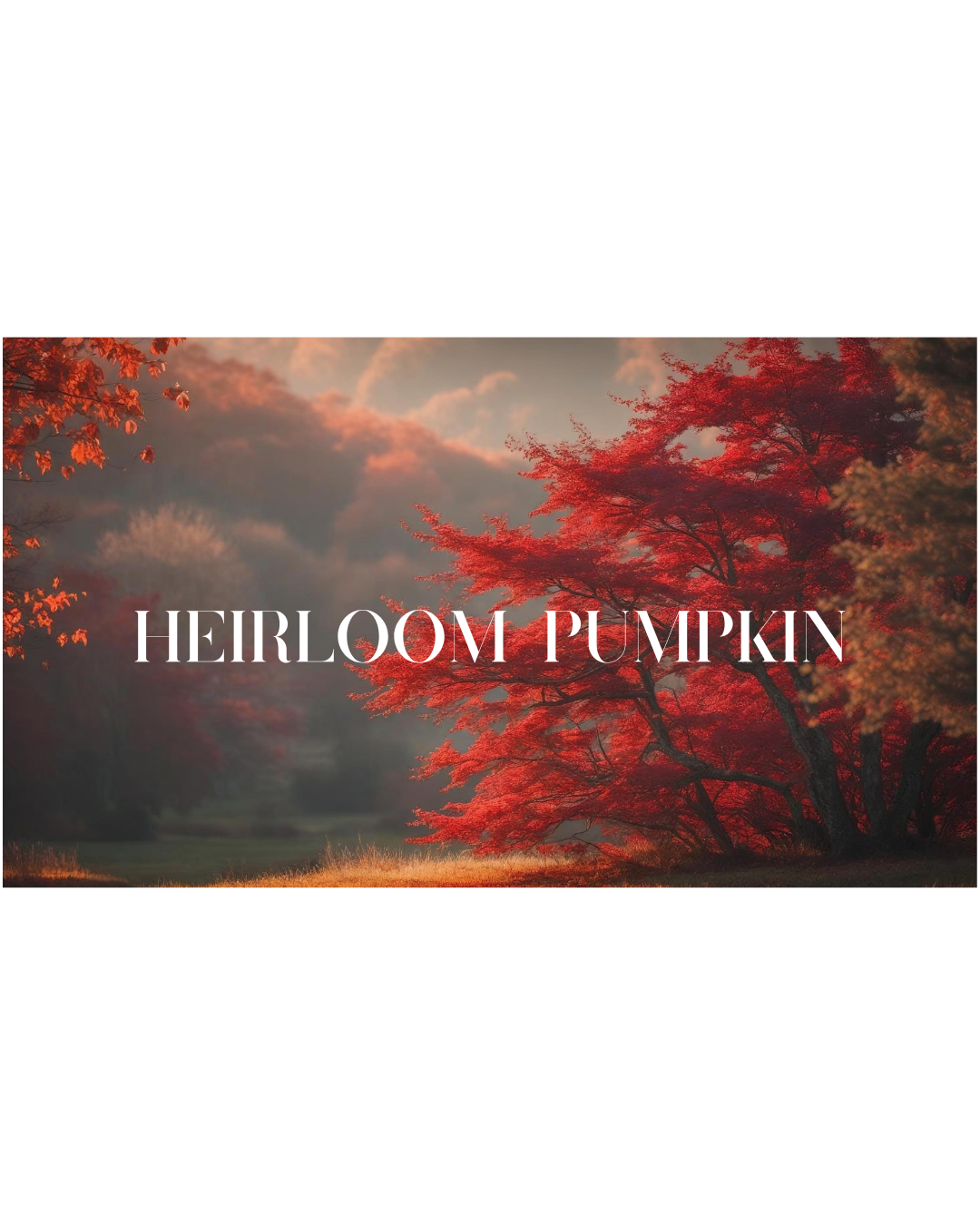 Heirloom Pumpkin