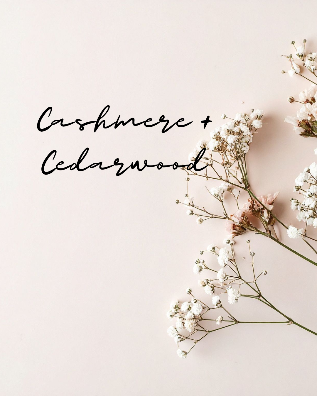 Cashmere + Cedarwood